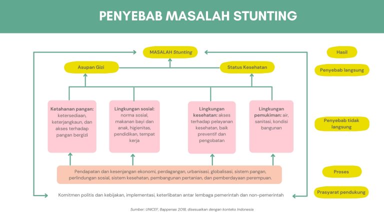 Program Pencegahan Stunting